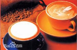 Cappuccino-the perfect combination of milk and coffee