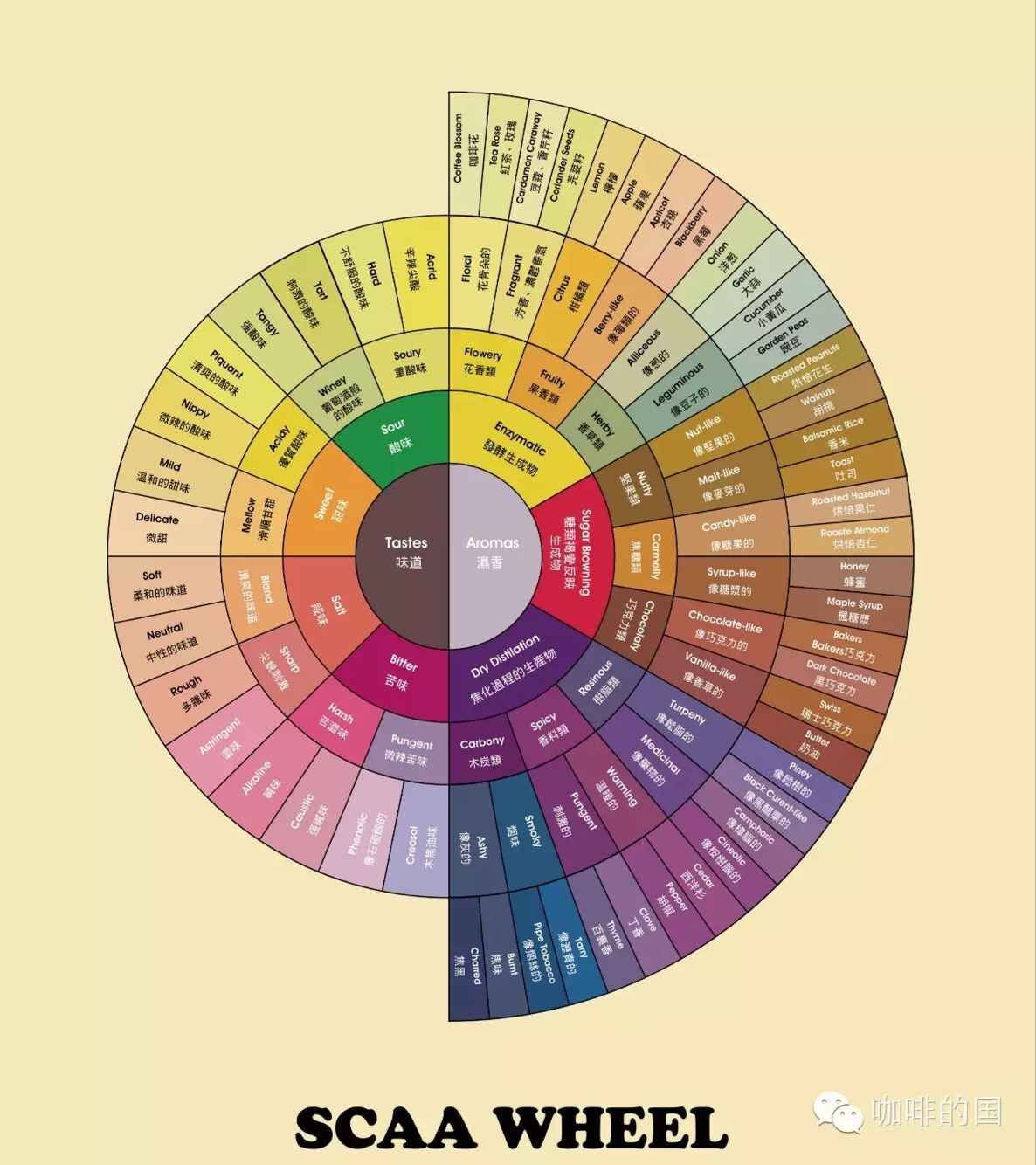 The introduction of coffee flavor wheel that you can understand in a second.