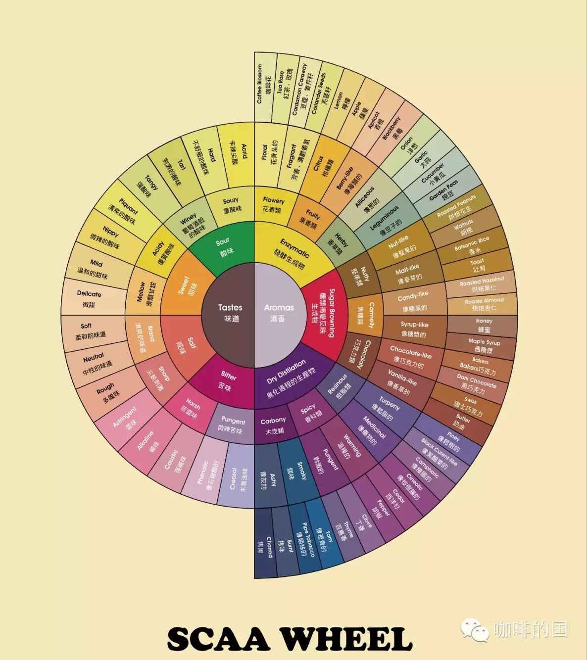 The details of coffee cup test introduce the most primitive flavor of coffee.