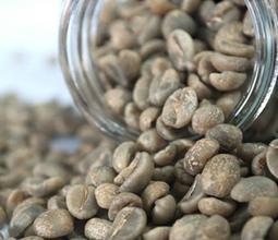 Introduction to the spread History and latest Information of Fine Coffee Raw Bean