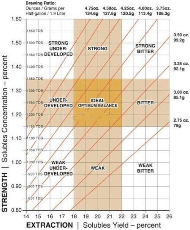 SCAA American boutique coffee association coffee brewing gold gouache proportion explanation