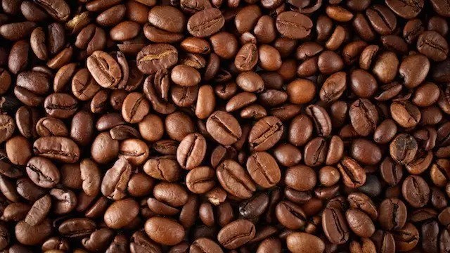 Introduction to raw coffee beans of the American Special Coffee Association