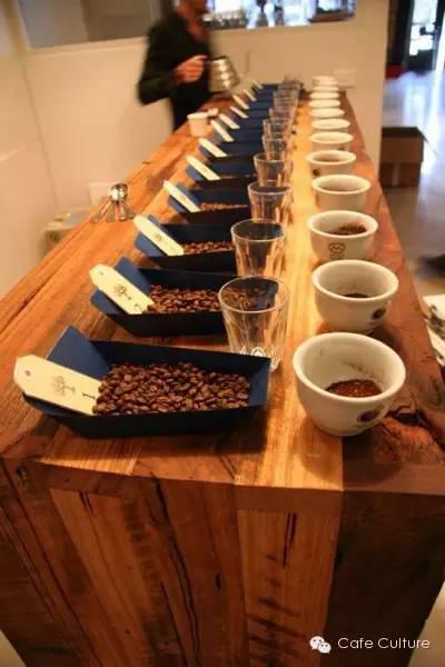 Professional skills in Coffee Operation | the correct way to taste coffee