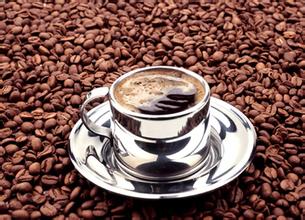 The latest introduction of Kilimanjaro boutique coffee beans and high quality coffee beans
