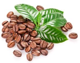 There are so many varieties of coffee beans how to become a high-quality coffee bean?