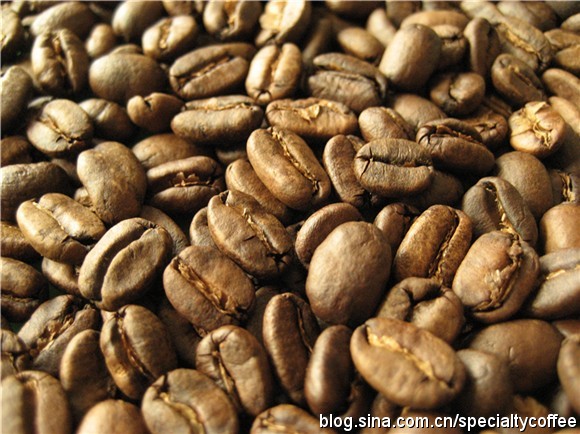 Boutique Coffee beans: the difference between Indonesian Mantenin Coffee beans and Golden Mantenin Coffee beans