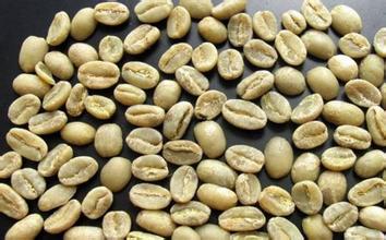 Boutique coffee beans: Arabica coffee originated in Ethiopia