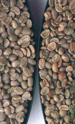 High-quality coffee beans: four standards that good coffee beans should have