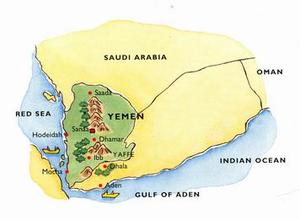 Details of coffee producing areas: the development status of coffee industry in Yemen
