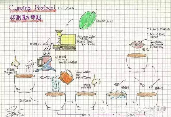 Technical Identification of Coffee: how to distinguish Coffee-introduction of Cupping Cup Test