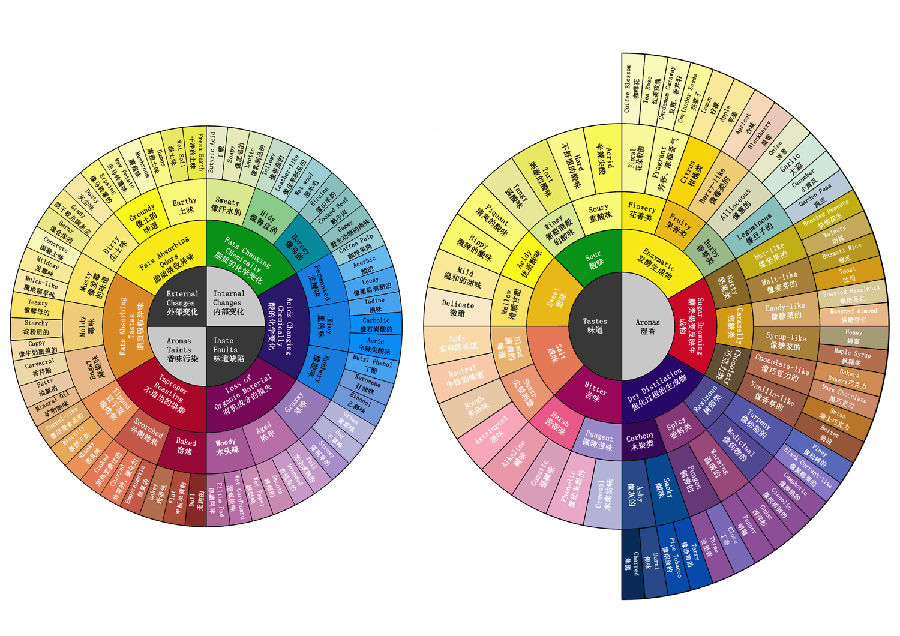 Technical Identification of Coffee: introduction of the Source, significance and main points of Coffee Cup Test