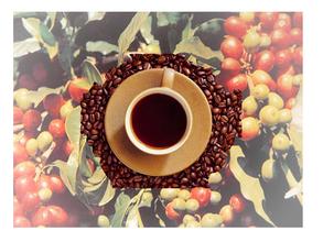 The latest introduction of fine coffee beans and Ethiopian boutique coffee