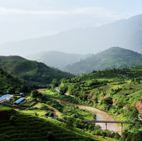 World Coffee Manor: Manzhongtian Coffee Manor has been certified by the Rainforest Alliance.