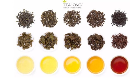 Zealong Tea joined hands with New Zealand's first coffee brand Esquires Coffee to set off a tea-drinking craze.