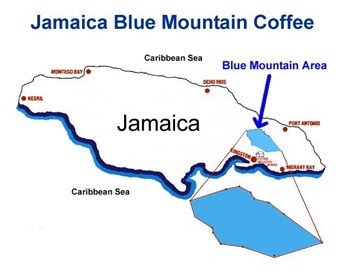 World boutique coffee estate; Clifton Manor, No. 1 Blue Mountain, Jamaica