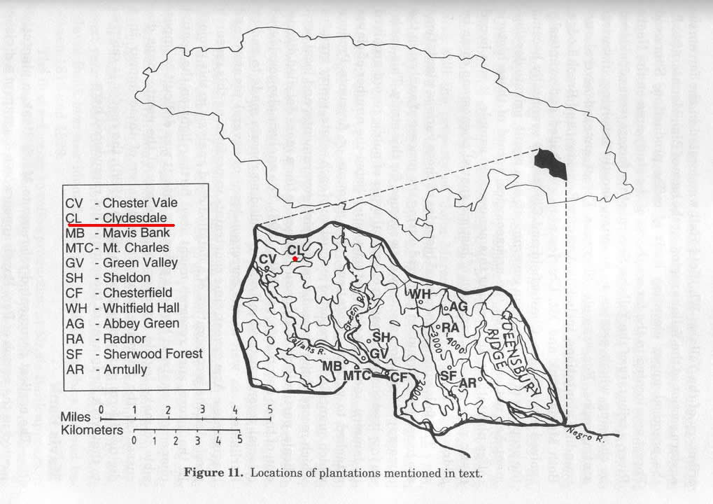 Introduction of the World Fine Coffee Manor: a detailed introduction of the Conastale Farm in Blue Mountain