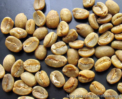 Introduction to the main points of the knowledge of raw coffee beans: a detailed explanation of the classification of raw coffee beans