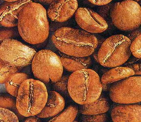 Coffee bean processing method Roasting technology skills: Coffee bean roasting degree introduction