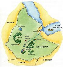 Introduction to Boutique Coffee Estate; Details of Ethiopian coffee beans (mocha)