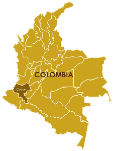 Boutique coffee producing area: Colombian boutique coffee producing area Cauca-Cafe de Cauca