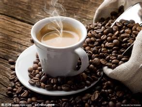 Kenya coffee boutique coffee Kenya AA latest coffee information and quotation