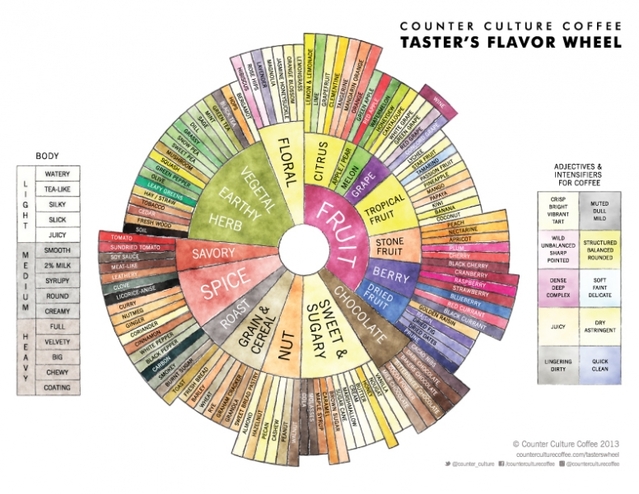 Coffee Knowledge Points; American Anti-Traditional Coffee SCAA Flavor Wheel Foundation Released New Coffee Flavor Wheel