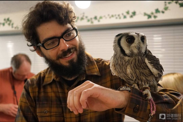 Having coffee with Harry Potter pets the popularity of owl cafes in Japan is growing.