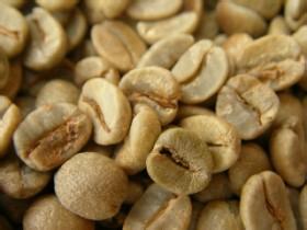 World Coffee Boutique Estate: Mexico Liquidambar MS