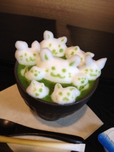 Japanese dessert shops make 3D matcha coffee with kittens to feel the cuteness of matcha coffee.
