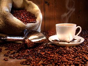 Boutique Coffee beans Alishan Maha Coffee latest Coffee introduction and Information