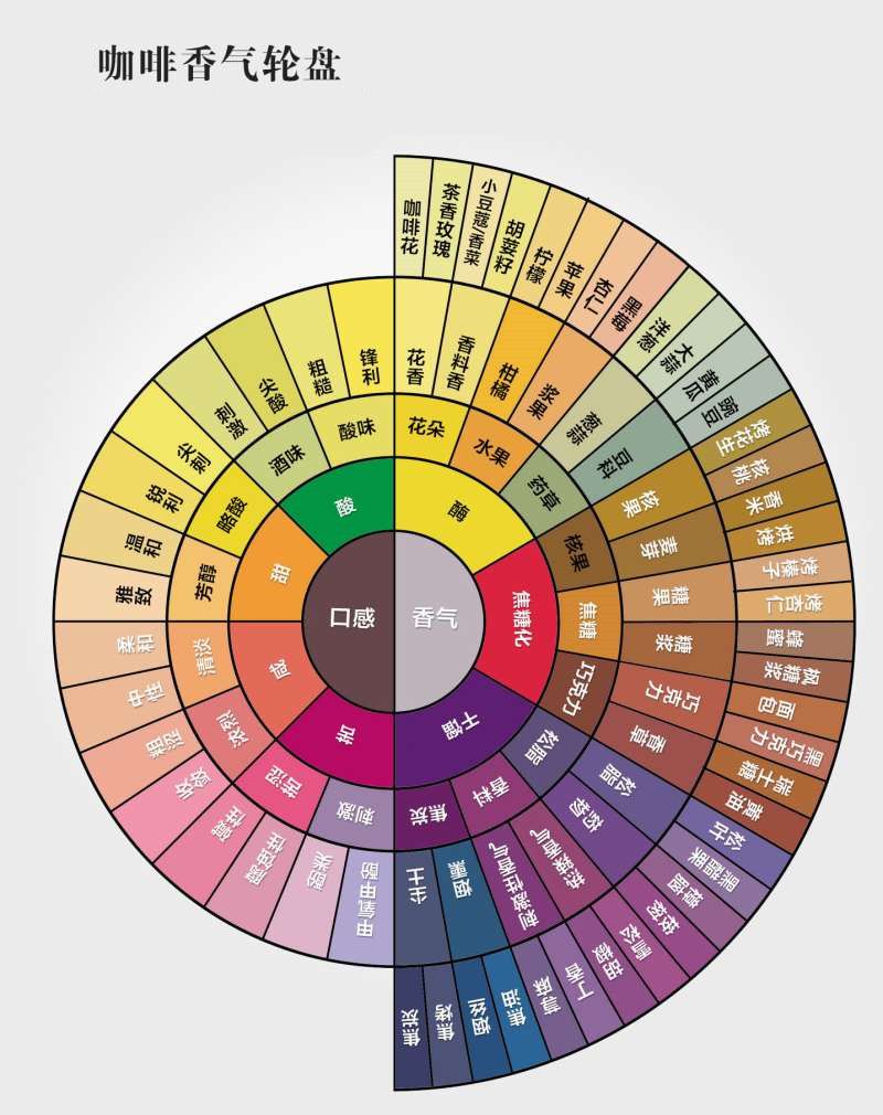 The main points of the knowledge of coffee flavor wheel: a detailed analysis of the learning essentials of SCAA coffee flavor wheel