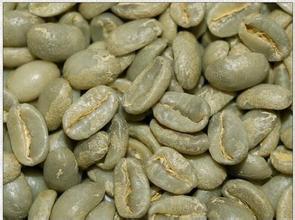 Characteristic coffee beans with strong fruit aroma in the African region of Ethiopia.