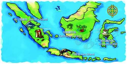 The difference between Mandenin Coffee and Golden Manning Coffee in Sumatra Coffee producing area of Indonesia