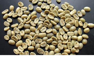 The coffee beans of Mexico in America have the characteristics of smooth, mellow and attractive flavor.