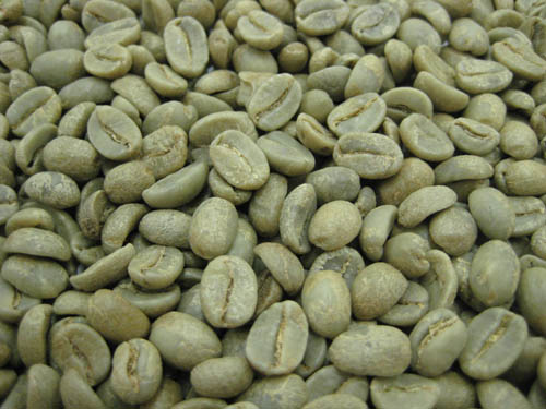 Peruvian coffee beans in America are characterized by high yield, high quality and balanced quality.