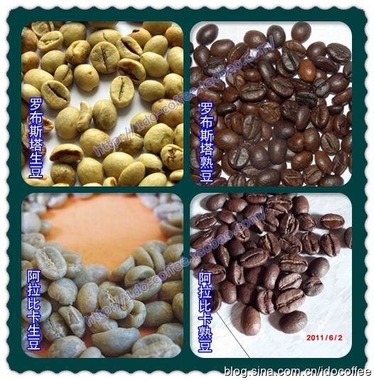 On the difference between Arabica Coffee and Robusta Coffee the difference between good beans and bad beans