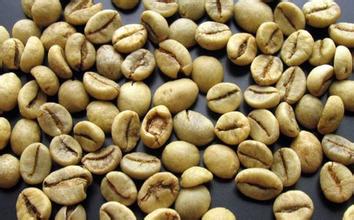 Yemeni coffee beans mocha coffee beans in Asia have slippery and fragrant flavor characteristics.