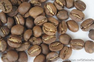 Zimbabwe coffee beans from Africa have a soft and smooth taste with rich fruity flavor.