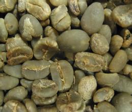 World boutique coffee beans: an introduction to the flavor characteristics of the 19-order tiger in Sumatra