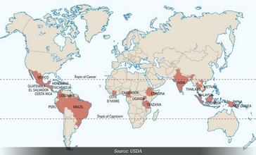 The World Coffee Map explains in detail the specific distribution points and geographical names of the world coffee map.