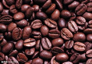 Boutique coffee beans Kenyan coffee latest coffee introduction boutique coffee estate