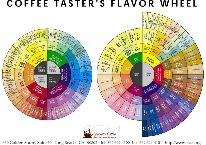 Coffee flavor wheel is a very important standard for correctly using coffee flavor when tasting coffee flavor.