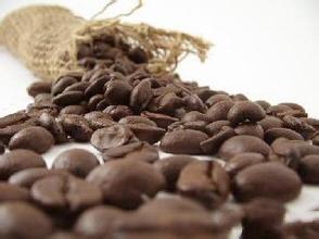 American Coffee Manor Blue Mountain coffee beans in Jamaica have the characteristics of very smooth and smooth taste.