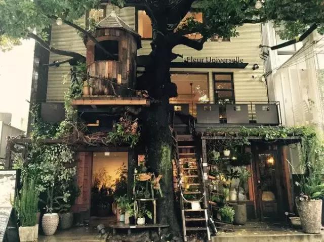 Those great coffee shops in Japanese TV series are recommended by Japanese romantic cafes that you must visit in this life.