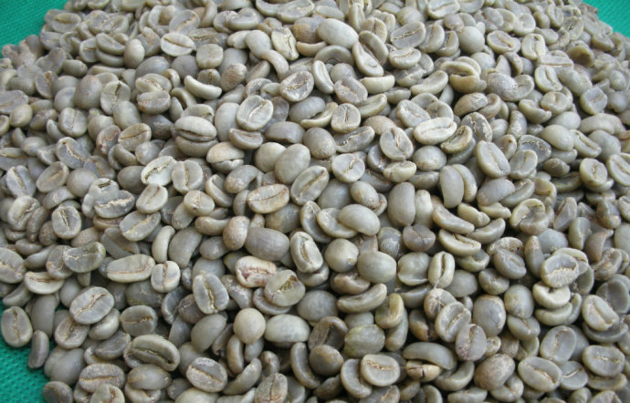 The difference between Coffee Bean washing and semi-washing