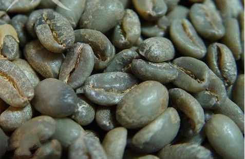 What are the conditions for raw coffee beans to be stored in the warehouse? How to store coffee and raw beans?