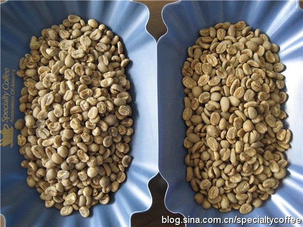 Indonesia Mantenin Coffee and Golden Mantenin Coffee have a good flavor and rich taste.