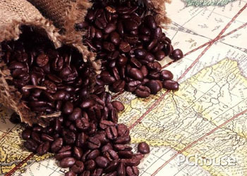 Analysis and explanation of the advantages and disadvantages of coffee beans