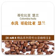 Columbia Colombia huila coffee beans