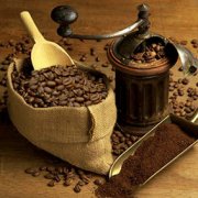 The World's most expensive Coffee-the Origin of Kopi Luwak